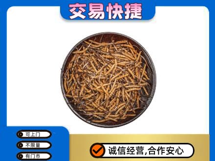 钦州市灵山高价回收散虫草